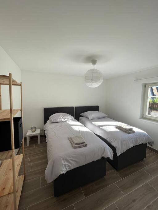 Apartamento Doux Refuge Avec Terrasse Parking Gratuit Beblenheim Exterior foto